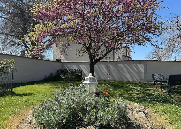 Maison De Maitre Toulousaine Avec Piscine Villa Lavernose-Lacasse