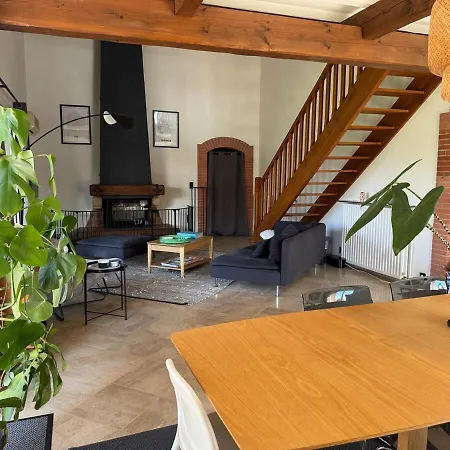 别墅 Maison De Maitre Toulousaine Avec Piscine