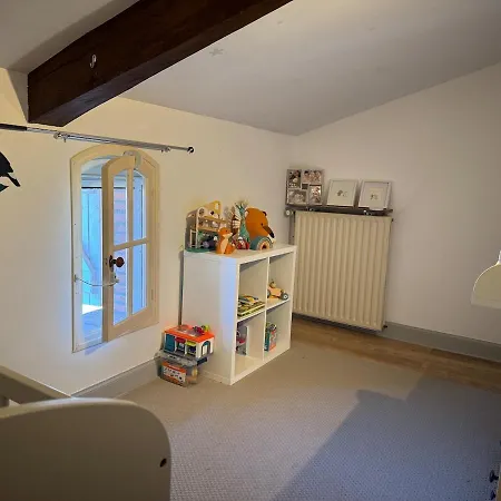 Maison De Maitre Toulousaine Avec Piscine 别墅 *