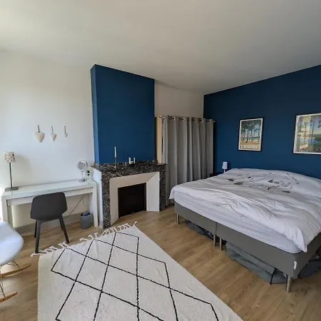 Maison De Maitre Toulousaine Avec Piscine Villa *