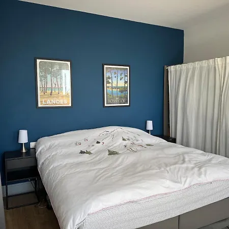 Maison De Maître Toulousaine Avec Piscine Villa *