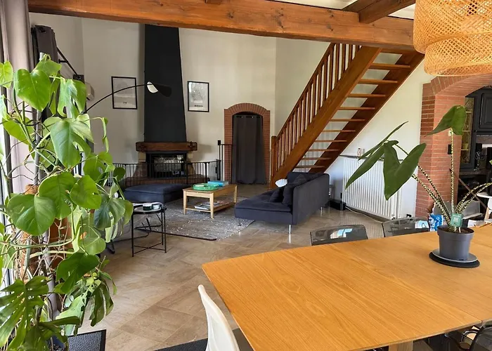 Villa Maison De Maitre Toulousaine Avec Piscine