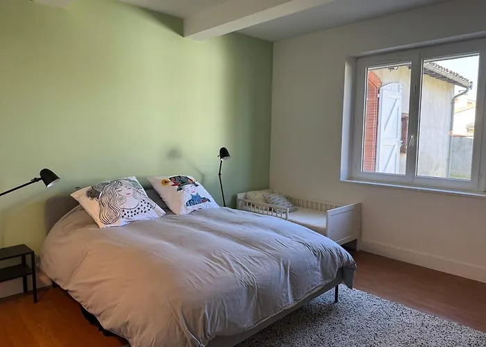 Villa Maison De Maitre Toulousaine Avec Piscine *