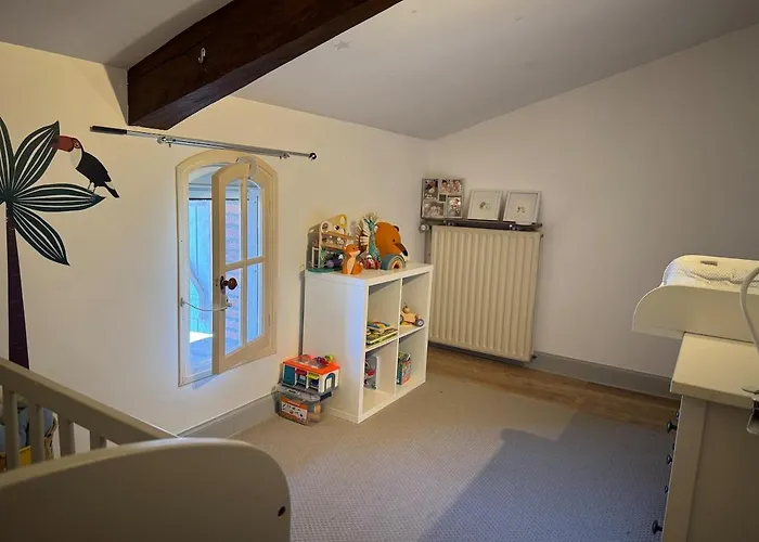 Maison De Maitre Toulousaine Avec Piscine Villa *